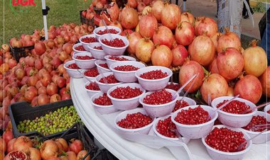 هەشتەمین ڤیستیڤاڵی هەنارو پایزی هەڵەبجە بەڕێوەدەچێت