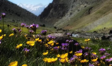 Dîmenên balkêş yên Çiyayê Helgurd li devera Balekayetî