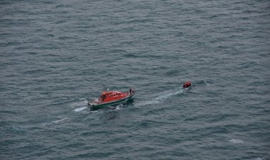 Beşek ji wan Kurdên Rojava ne 80 koçber hatine rizgar kirin