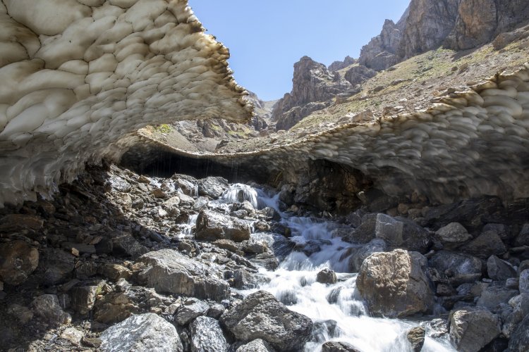 Zozanên Pirjê li navçeya Çoman