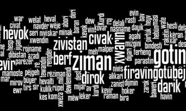 Zanîngeheke dêrîn ya Amerîkayê xoleke fêrbûna zimanê Kurdî vedike