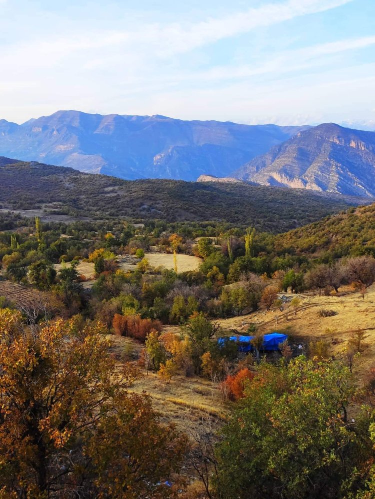 Payîza gundê Mîrûz li devera Mizûrî Bala