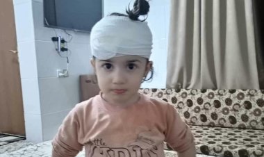 Keçkeke biçûkê Rojava ji ser xanî kete xwarê