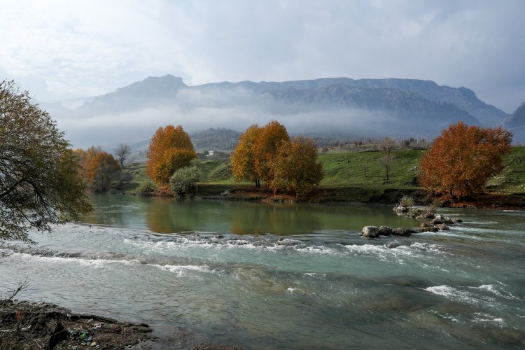 Seyrangeha Zoregivan ya devera Mêrgesor