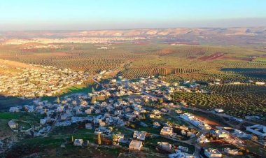 Komên çekdar li jin û mêrekî temendar dixin