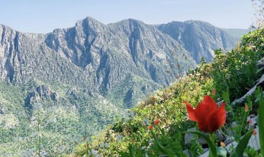 Dîmenên Biharê li Çiyayê Bêrat li Akrê