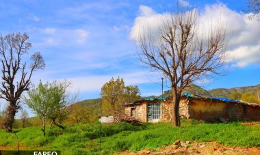 Gundê Kanî Sard li Pênciwîn