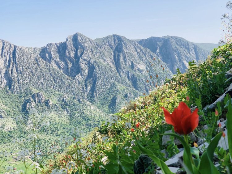 Dîmenên Biharê li Çiyayê Bêrat li Akrê