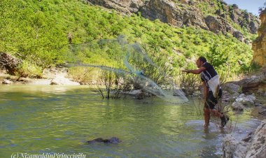 Masîgir li herêma Xarpêta