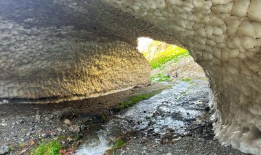 Zozanên Sekran li Devera Balekayetî Başûrê Kurdistanê