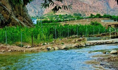 Çend dîmen ji navçeya Xelîfan ya Soranê