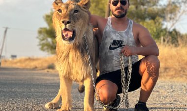 Xortekî Kurd yê Rojava `Şêran` xwedî dike