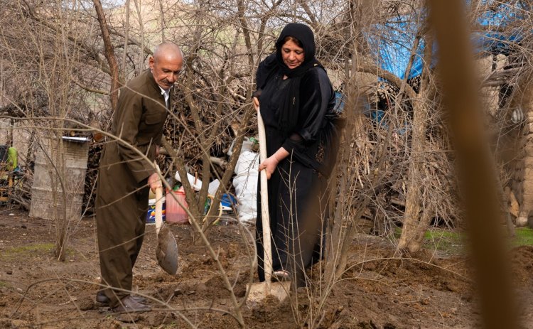 Çîroka evîniyê ya Helîma û Xayîb