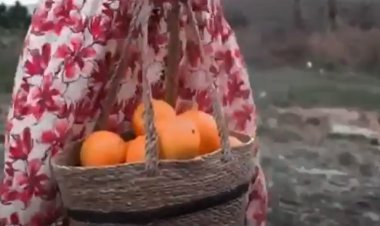 Were Kubarê- Ridwan Hisên