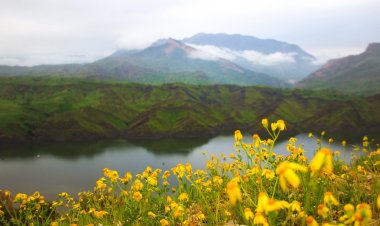 Bi Wêne… Bihara Devera Helebçe