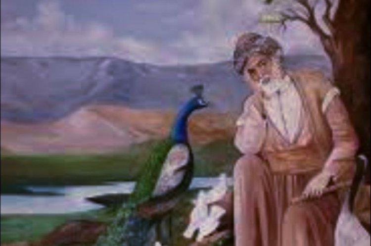 FEQIYÊ TEYRAN DENGÊ  PELÇIQAN