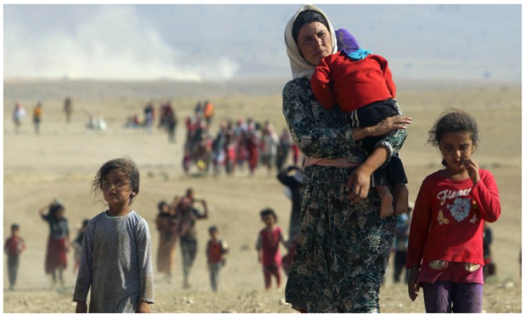 Çarenivîsa zêdetir li 2500 Êzdî bi nediyar mane