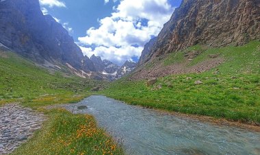 Colemêrg di çend dîmenan de