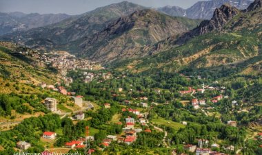 Çend dîmen ji navçeya Şemzînan ya Colemêrgê