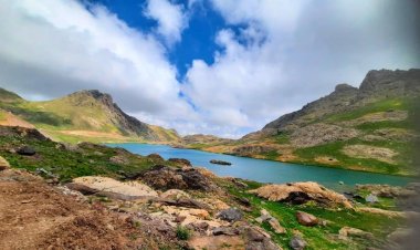 Çend dîmen ji golên Satê li Colemêrgê