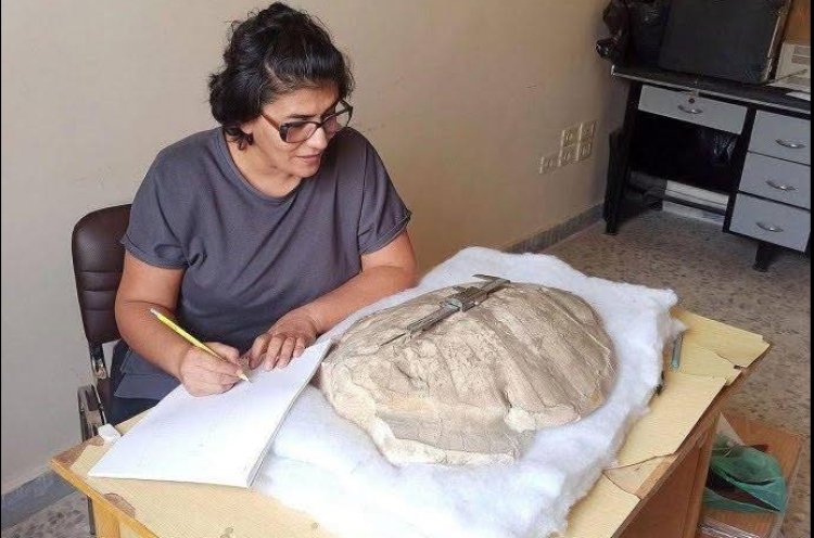 Efrîn: Kêsefisek 50 milyon sal hat dîtin