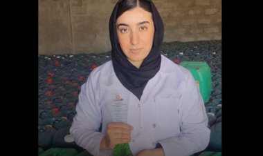 Keçeke Kurd li Brîtanyayê xelat wergirt