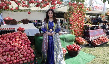 Bi wêne.. Li Helebçe Festîvala Henar û Payîzê