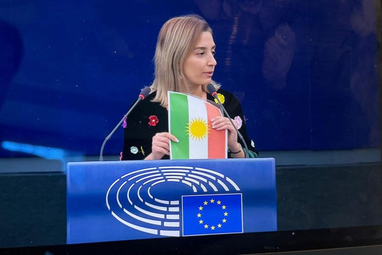 Li Parlemana Ewropayê jî banga parastina kurdan destpê kir