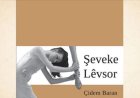 Şeveke Lêvsor…